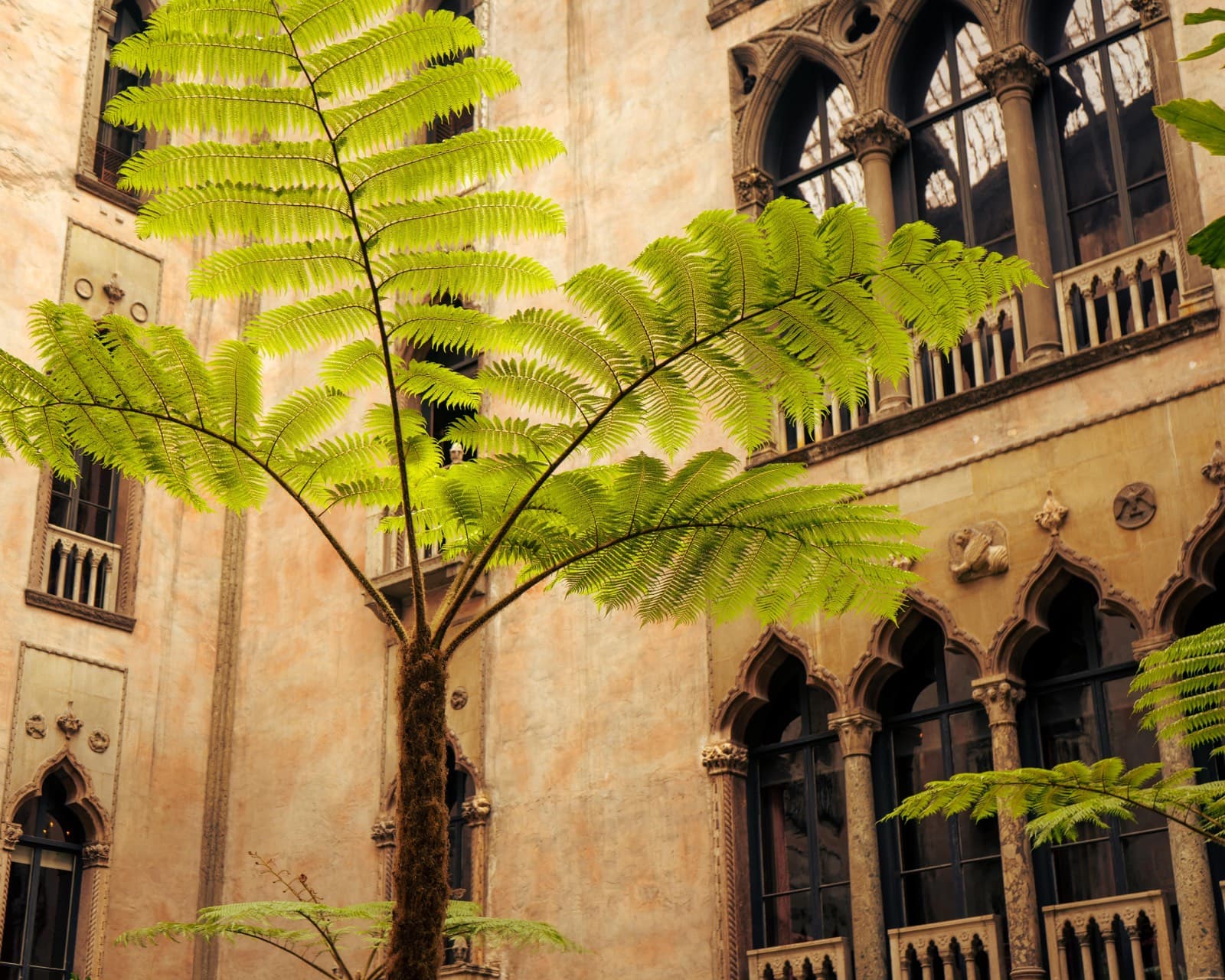 United States - Gardiner Museum 5