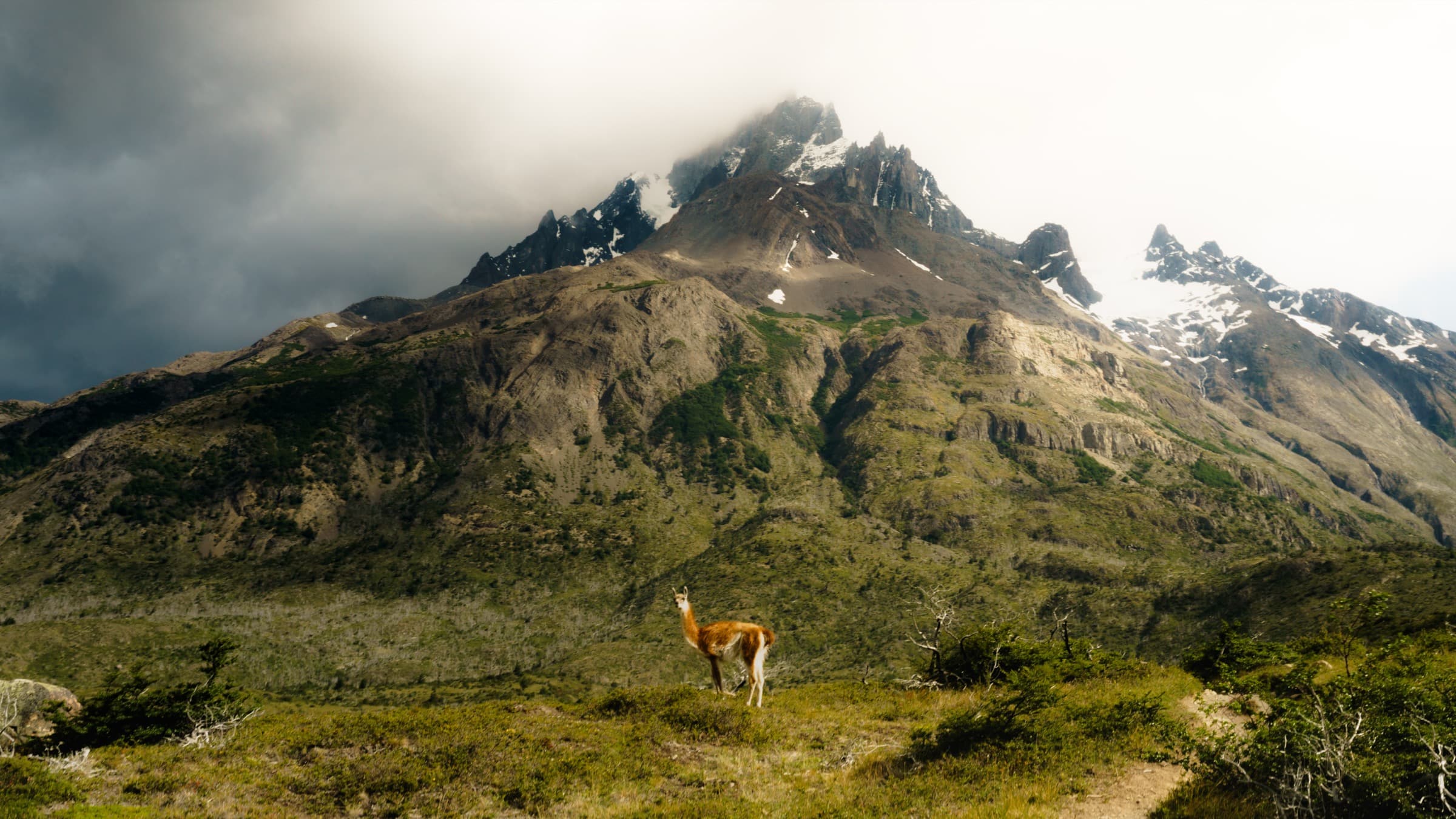 Chile - Patagonia 7