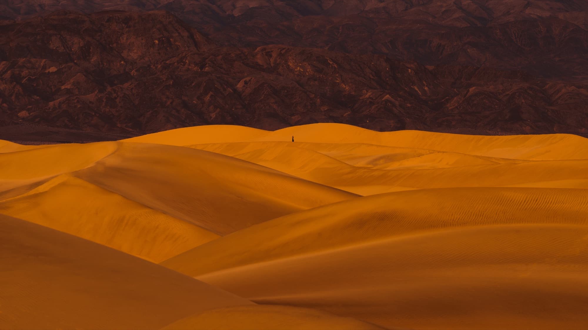 Death Valley - Death Valley 1