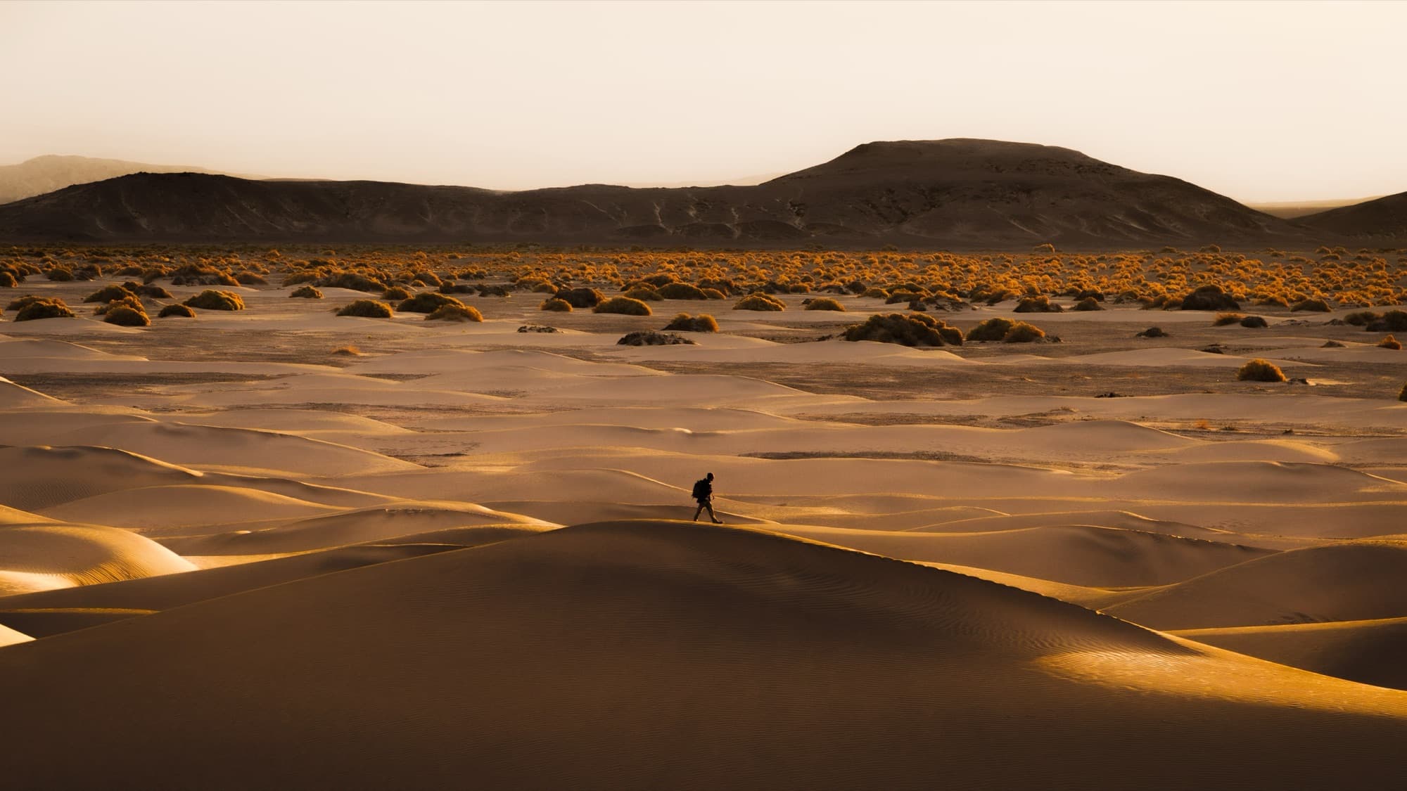 Death Valley - Death Valley 5