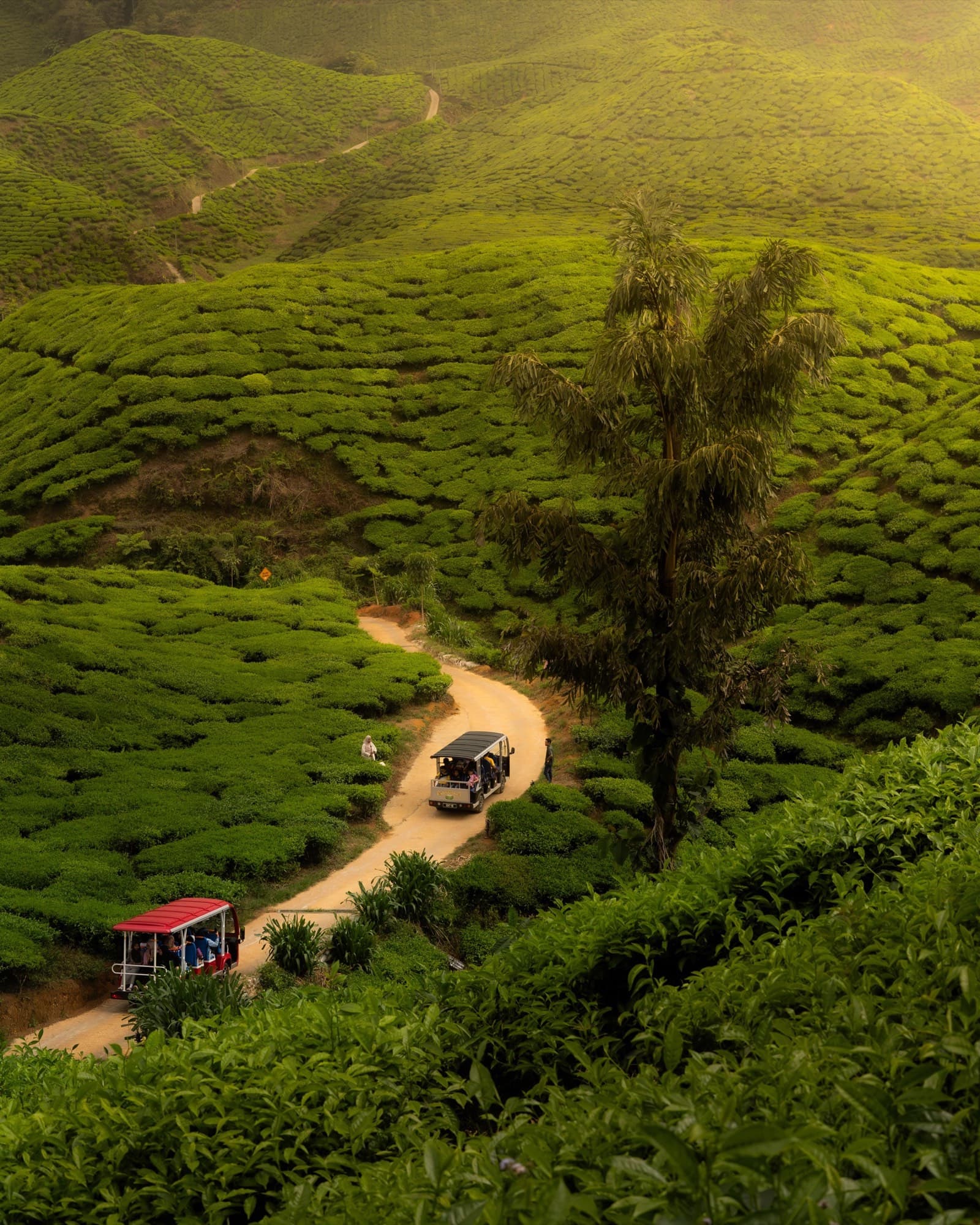 Malaysia - Malaysia 1