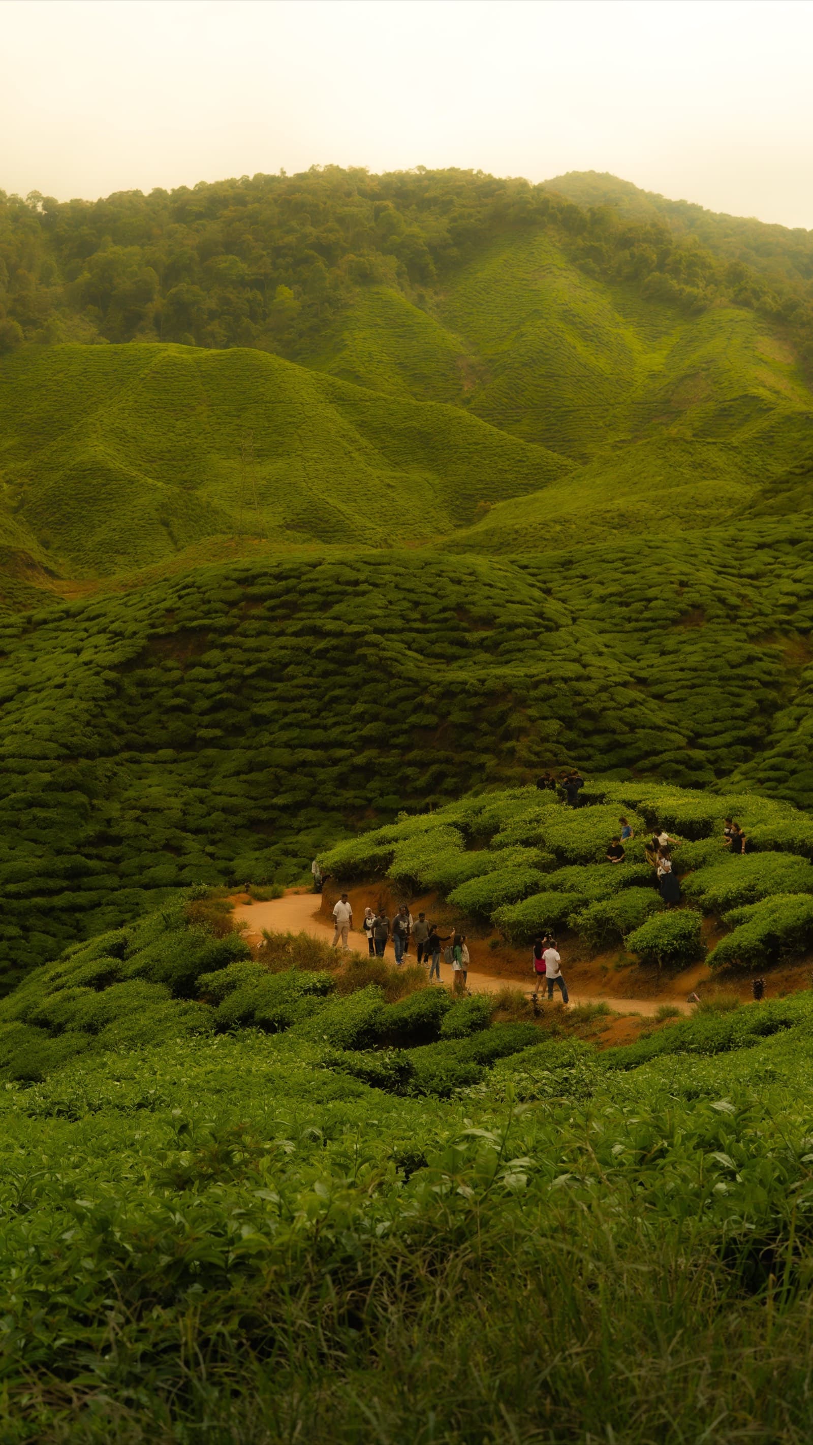 Malaysia - Malaysia 2