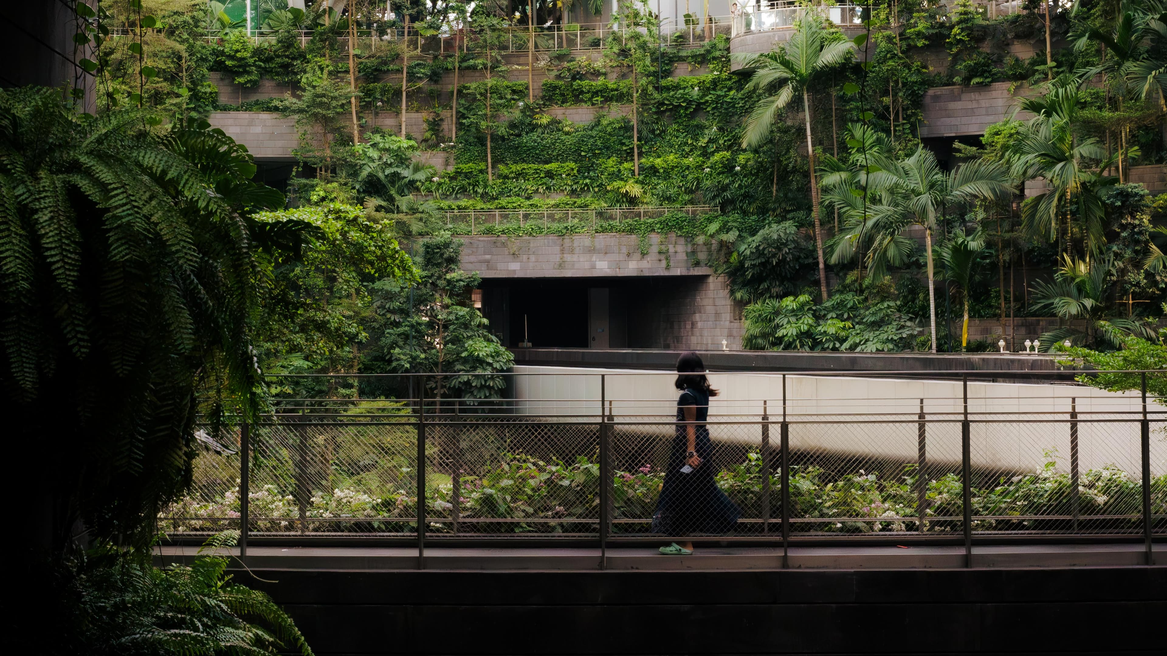 Singapore - Singapore 3