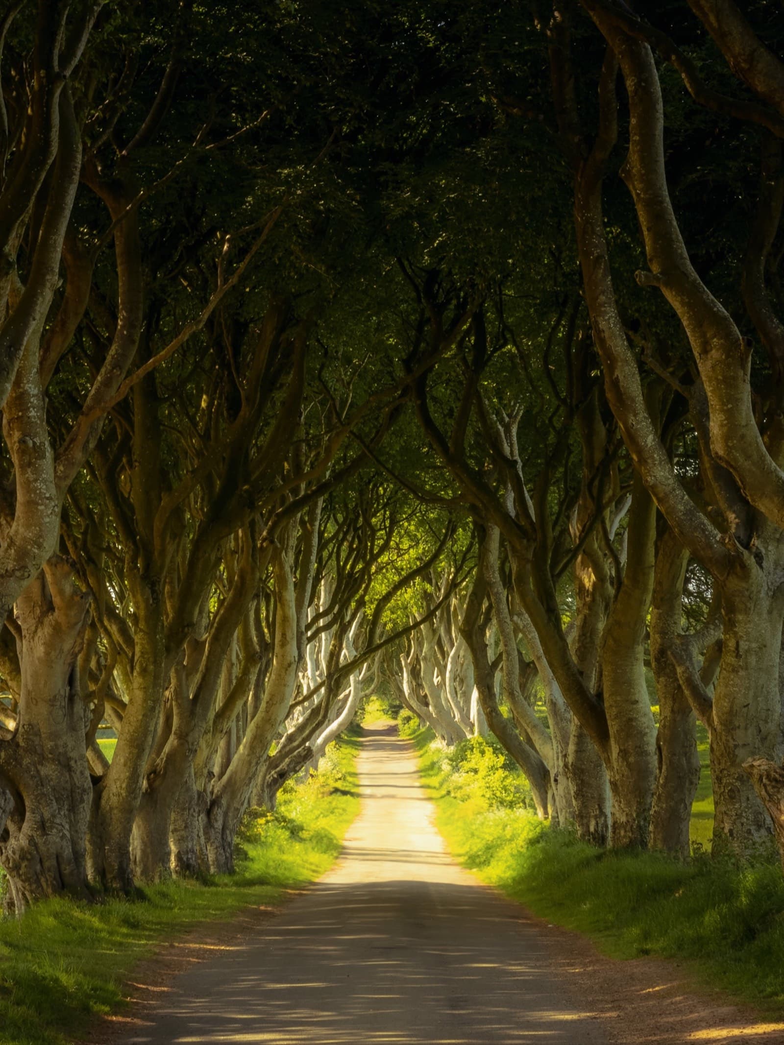 United Kingdom - Northern Ireland 3