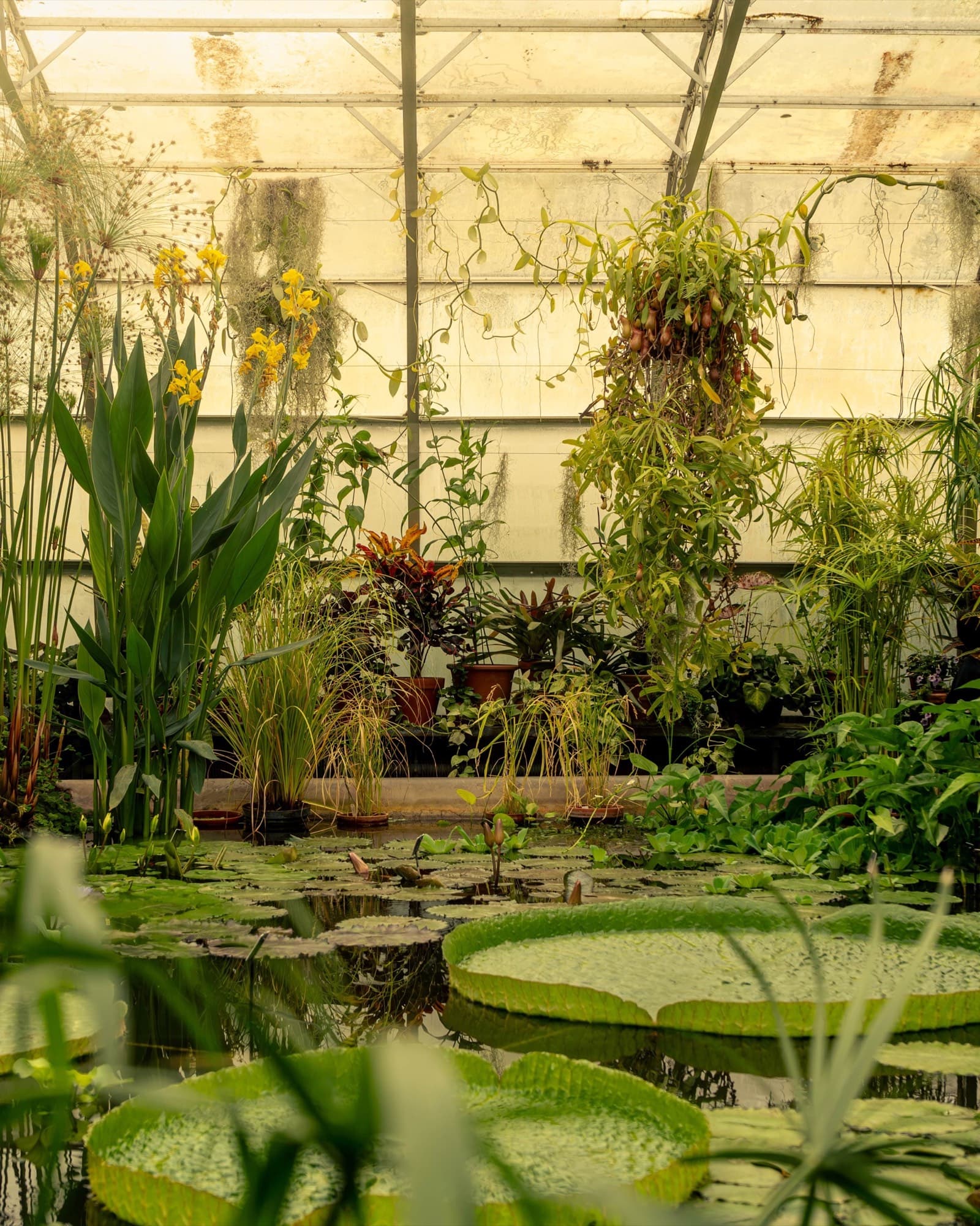 United Kingdom - Oxford 8