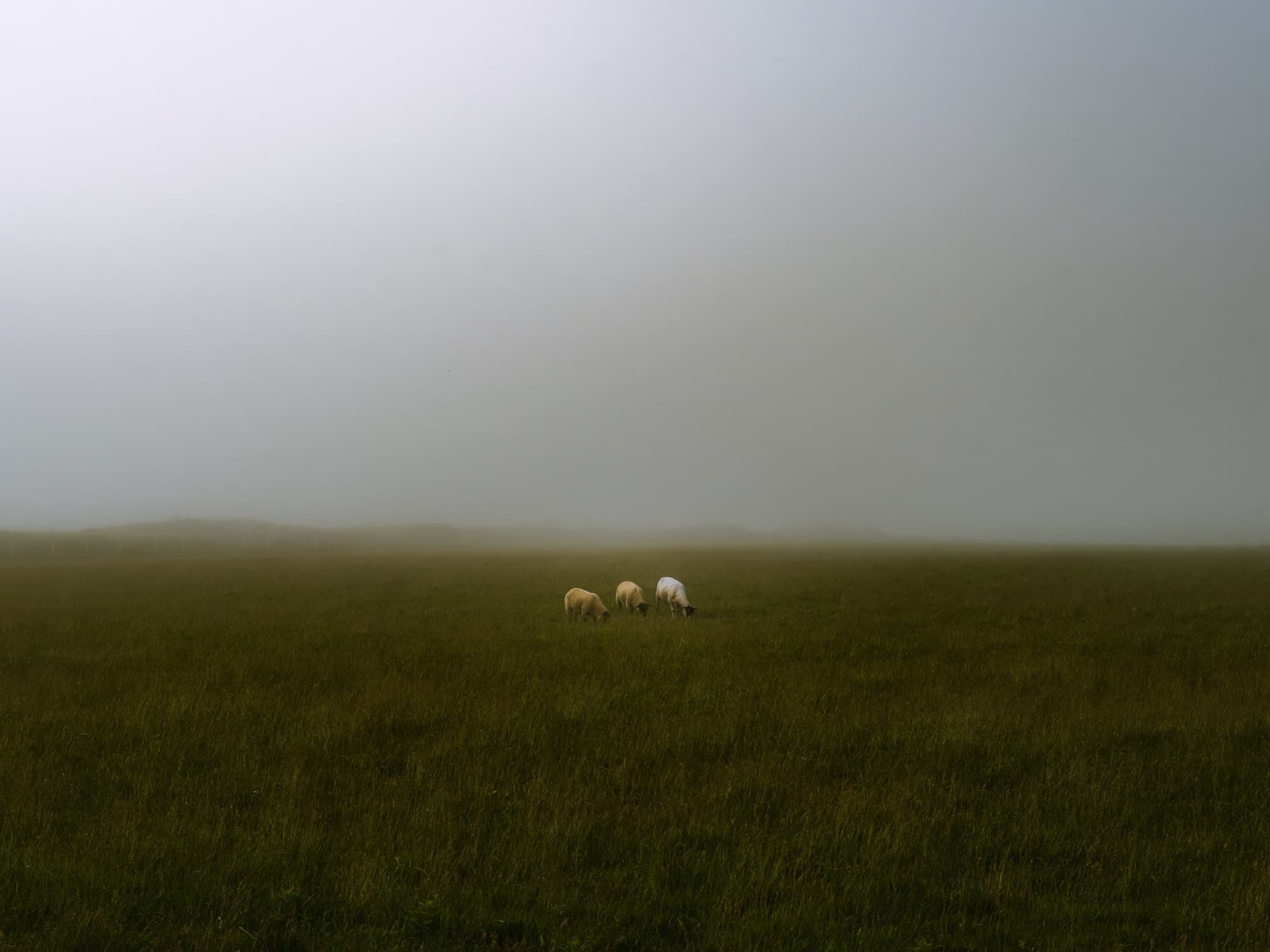 United Kingdom - Seven Sisters 1