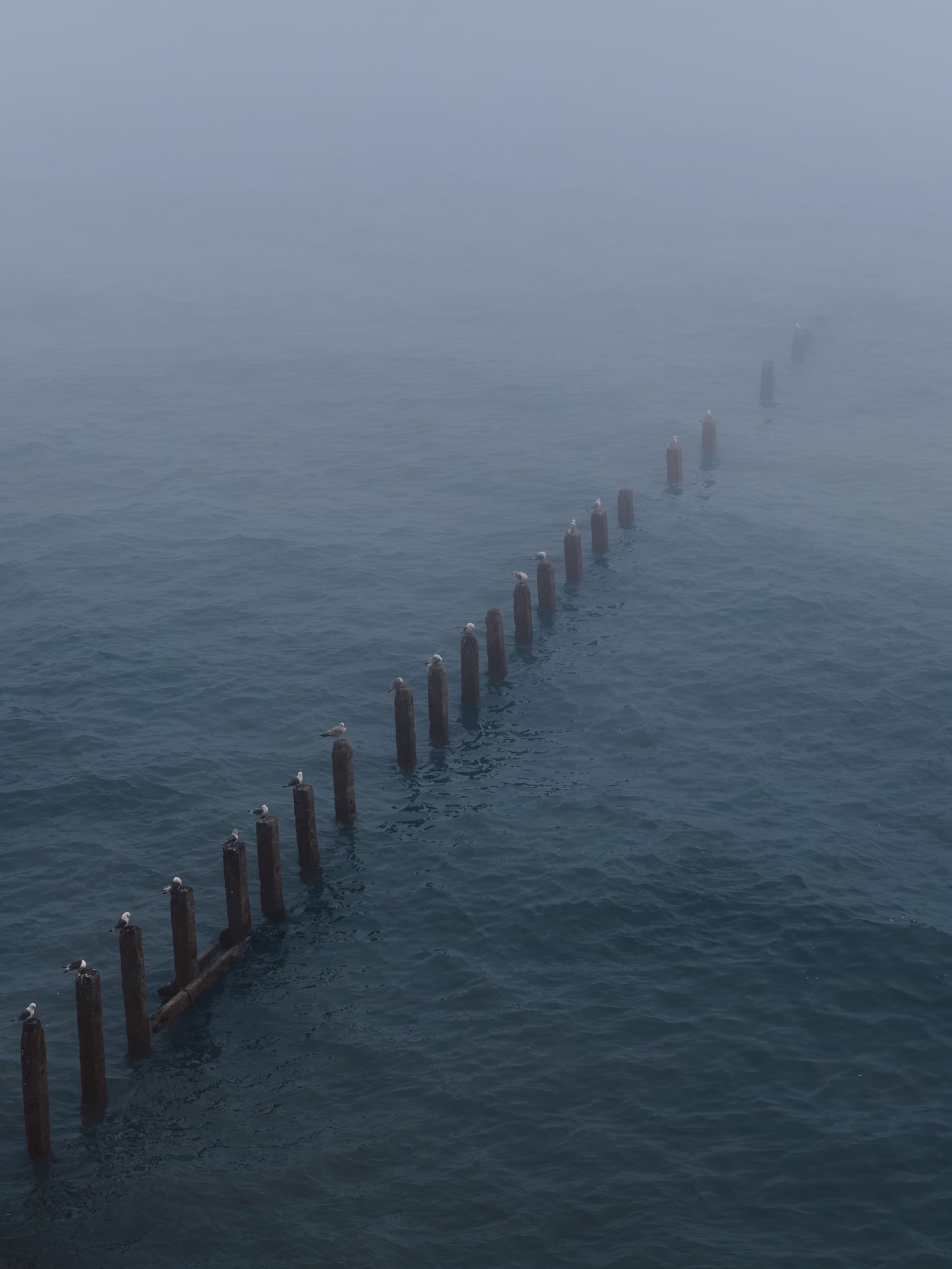 United Kingdom - Seven Sisters 2