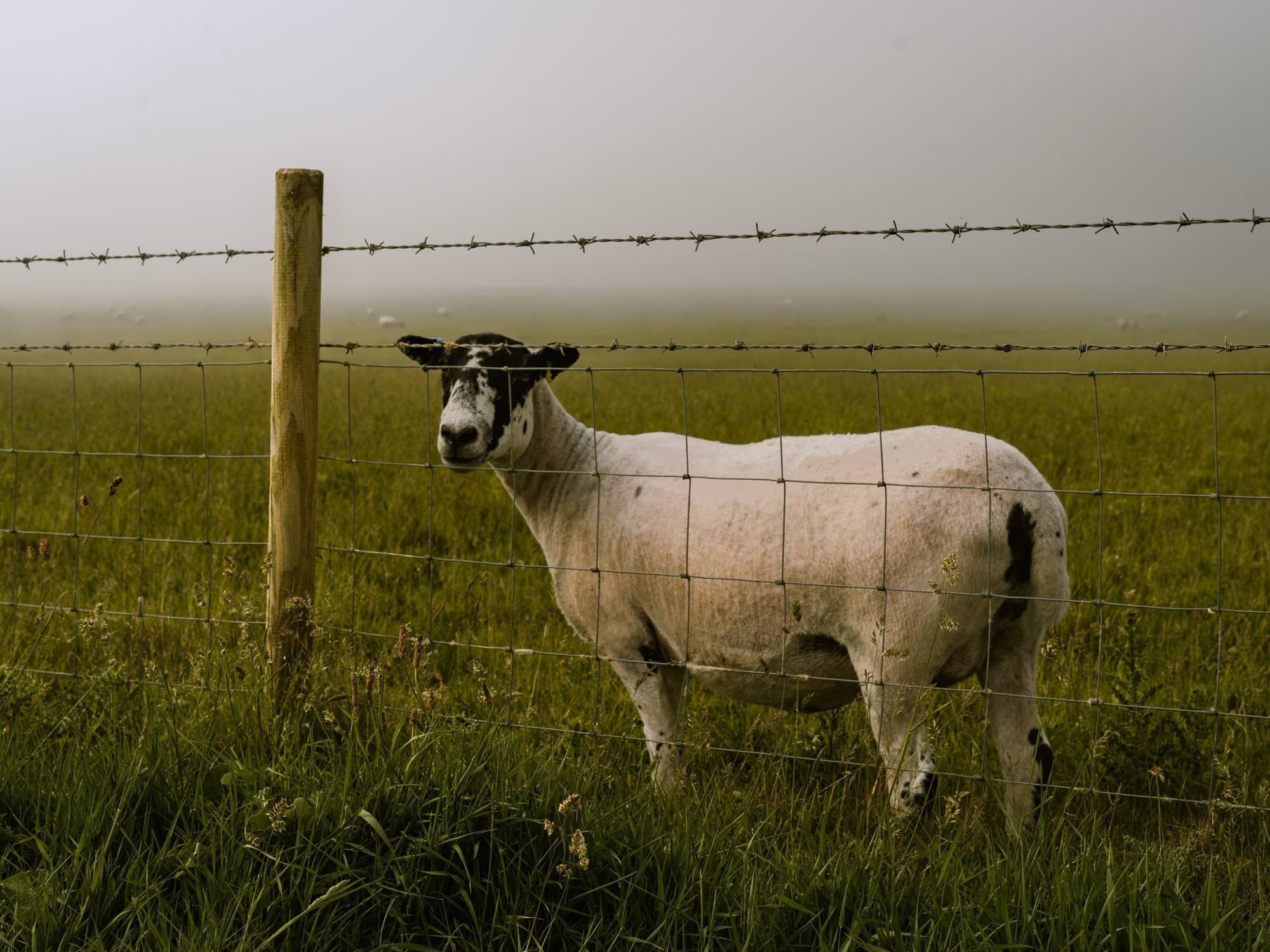 United Kingdom - Seven Sisters 4