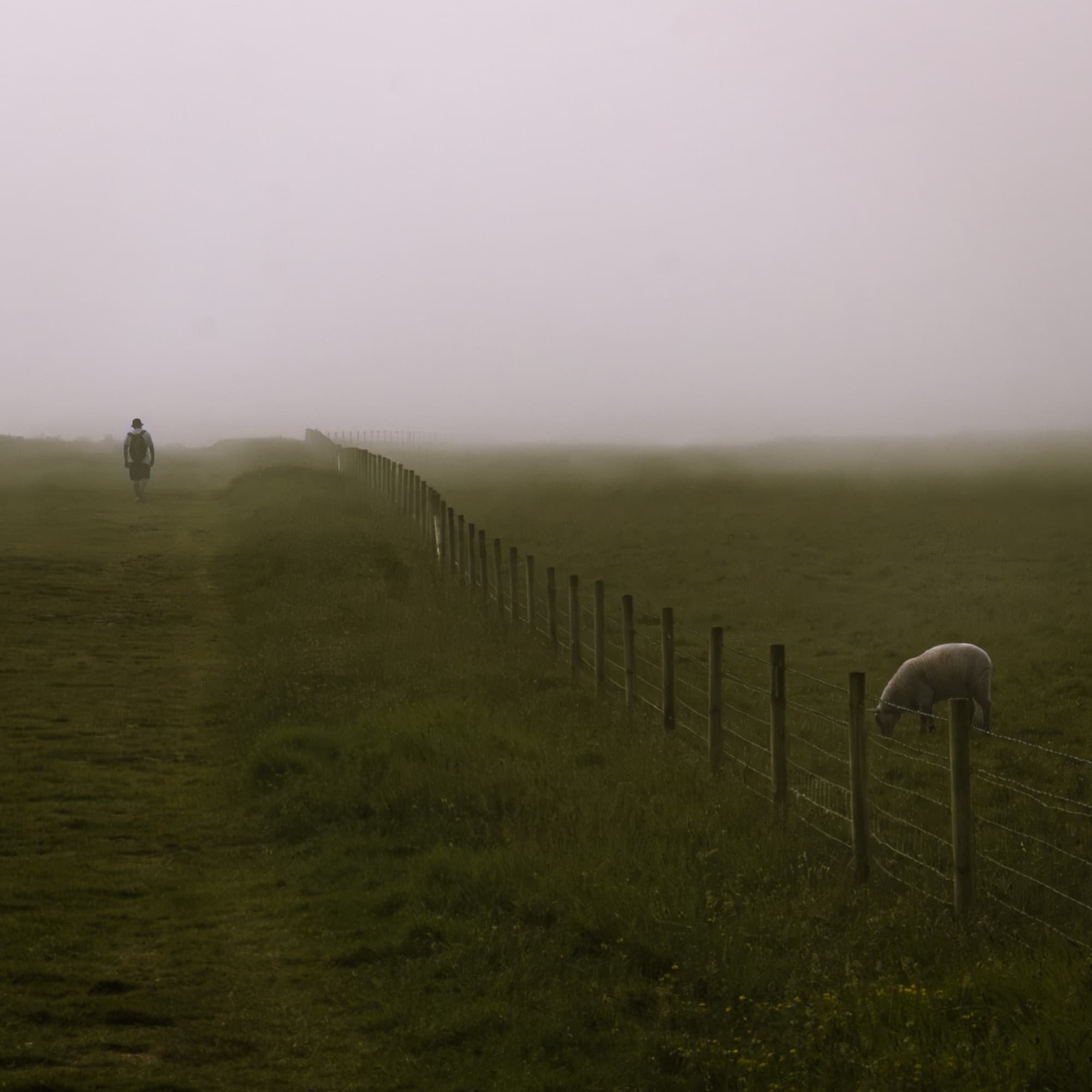 United Kingdom - Seven Sisters 5